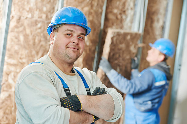 Best Insulation Installation Services in Rush City, MN
